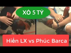 Trận đá gà trị giá bạc tỷ