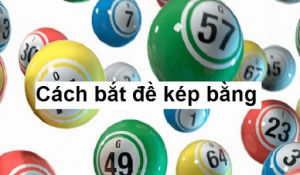  Một số loại đề kép thường được sử dụng hiện nay