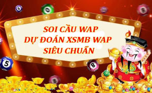 Giới thiệu về hệ thống soi cầu Wap