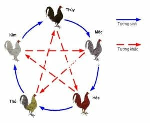 Những phương pháp chọn 80 màu mạng gà đá cực chuẩn xác