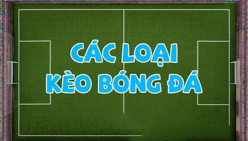 Tìm hiểu về việc xem bóng đá kèo nhà cái Mitom