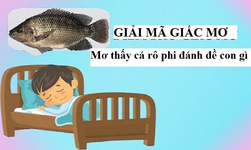 Mơ thấy cá rô phi đánh con gì sao cho chuẩn
