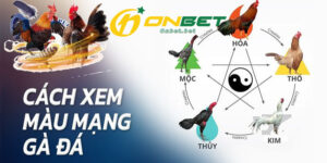 Xem màu mạng theo ngày chuẩn nhất cho sư kê ONBET
