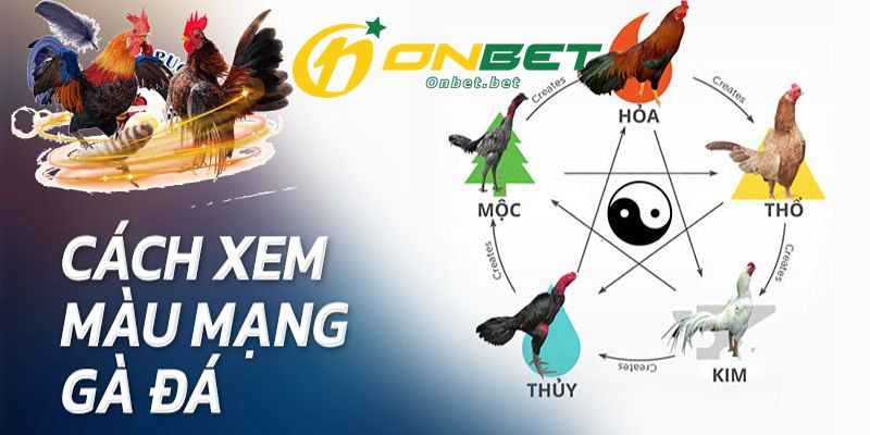 Xem màu mạng theo ngày chuẩn nhất cho sư kê ONBET