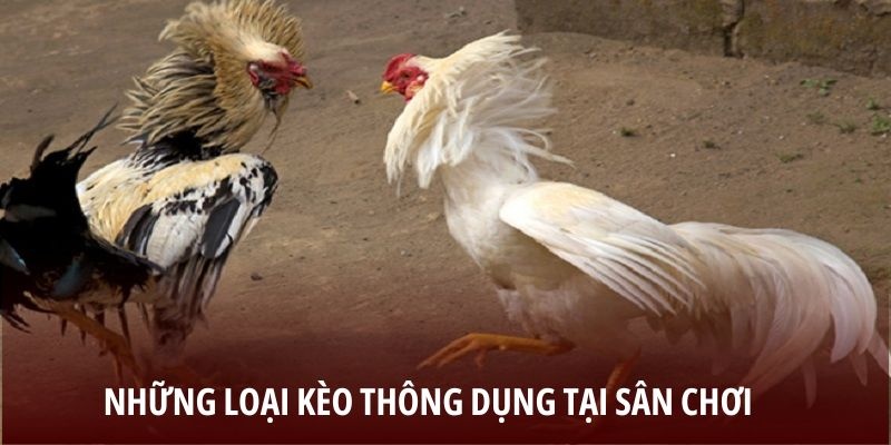 Những loại kèo thông dụng tại sân chơi